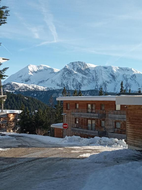 Photo de Droseras D12 - Les Villages du Bachat à Chamrousse 1700