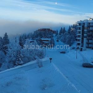 Chamrousse 1750 Studio 4 personnes 29m2 à Chamrousse