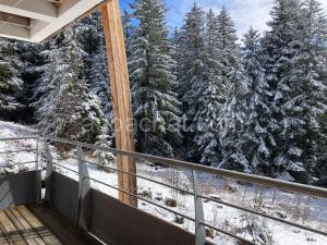 STUDIO CHAMROUSSE 1700 pour 4 personnes - Au calme - Avec WIFI à Chamrousse