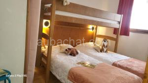 Appartement proche piste et près de l'Ecole de Ski à Chamrousse